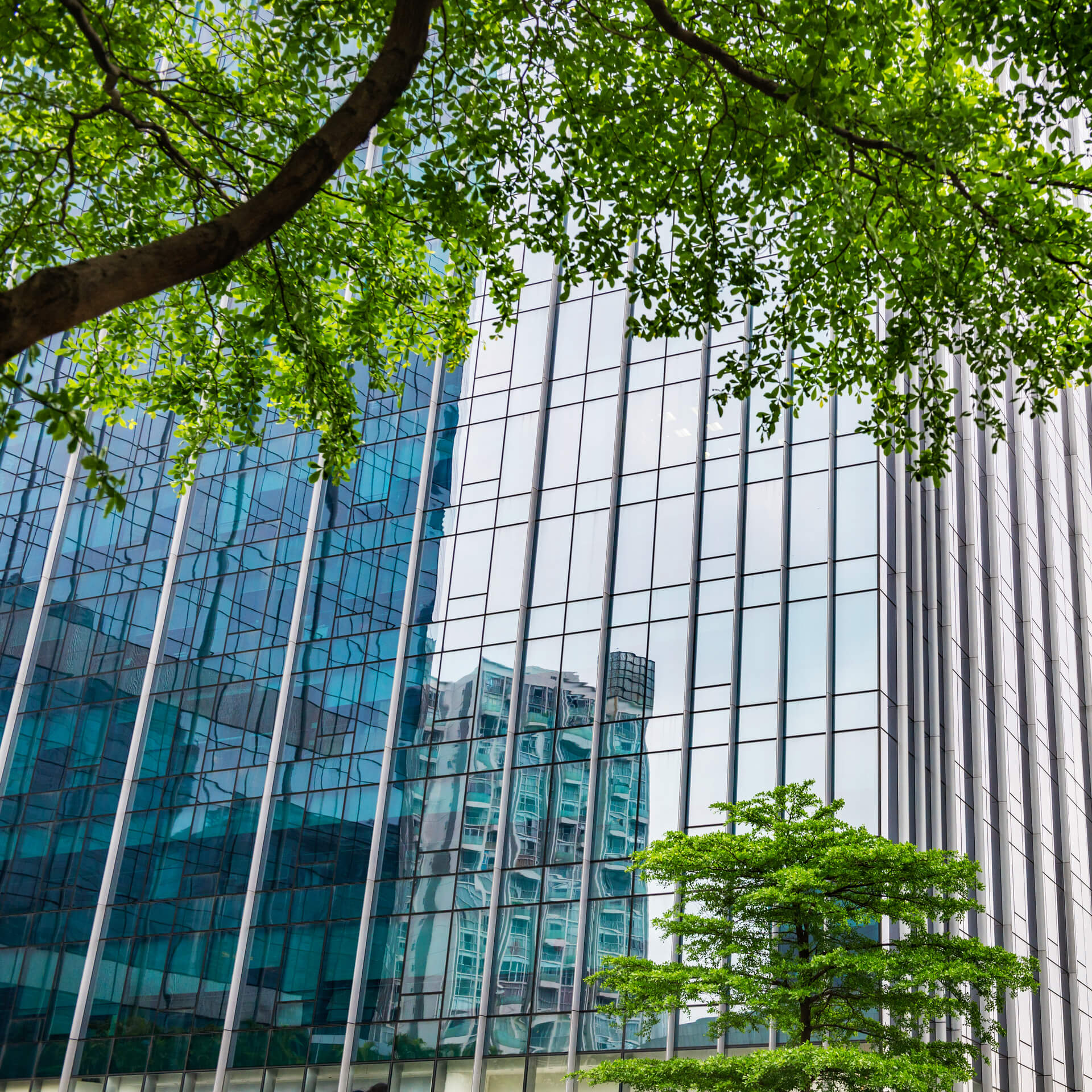 Как съвременното строителство постига висока енергийна ефективност